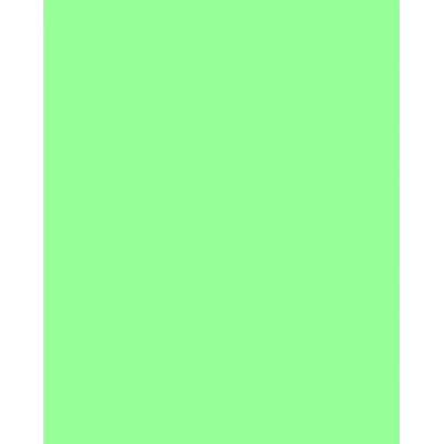 Гладкий лист САЛАТОВИЙ (7002)